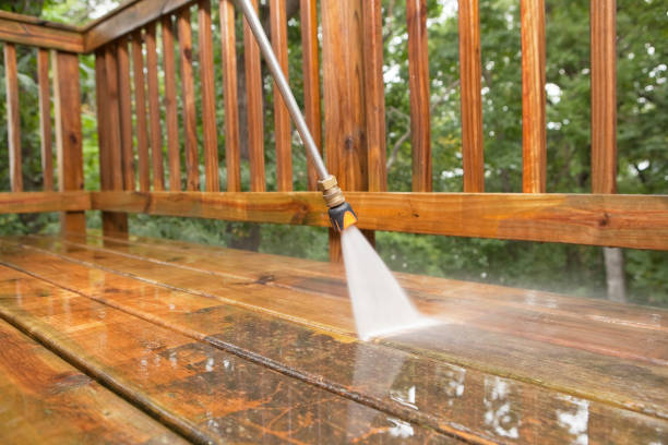 Best Patio and Deck Pressure Washing  in Rosenhayn, NJ